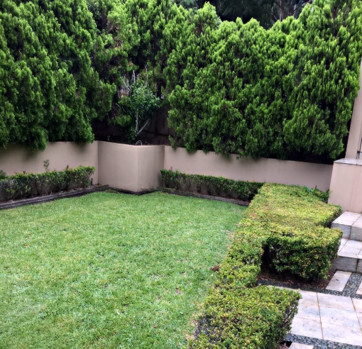 What-a-lush-landscape-serviced-by-our-amazing-staff-at-1300-4-Gardening