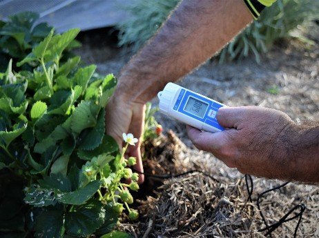 Soil-testing-to-get-the-best-out-of-your-landscape