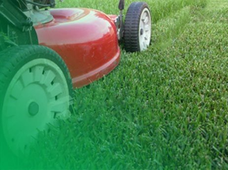 lawn-mowing-service-completed-by-1300-4-gardening
