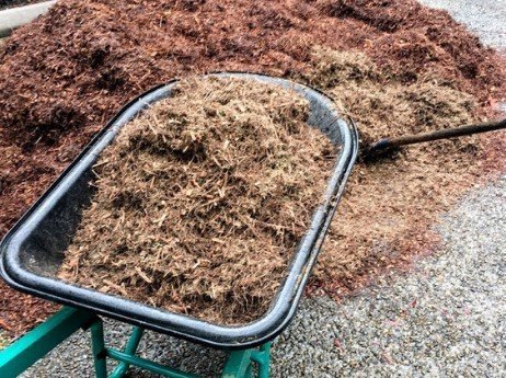 Mulching-your-landscape-can-provide-aesthetic-appeal