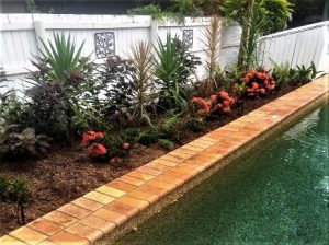 Mulching-your-landscape-will-give-it-a-cleaner-maintained-look