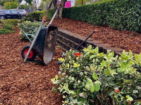 mulch will be beneficial to your landscape