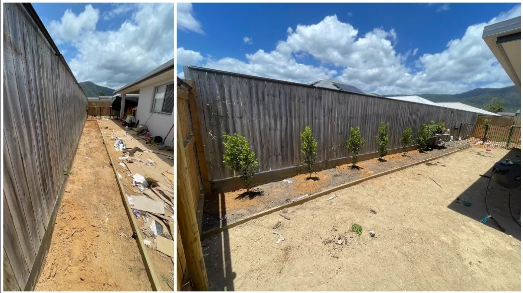 Side yard during garden install with timber edging and newly planted Lilly Pilly shrubs