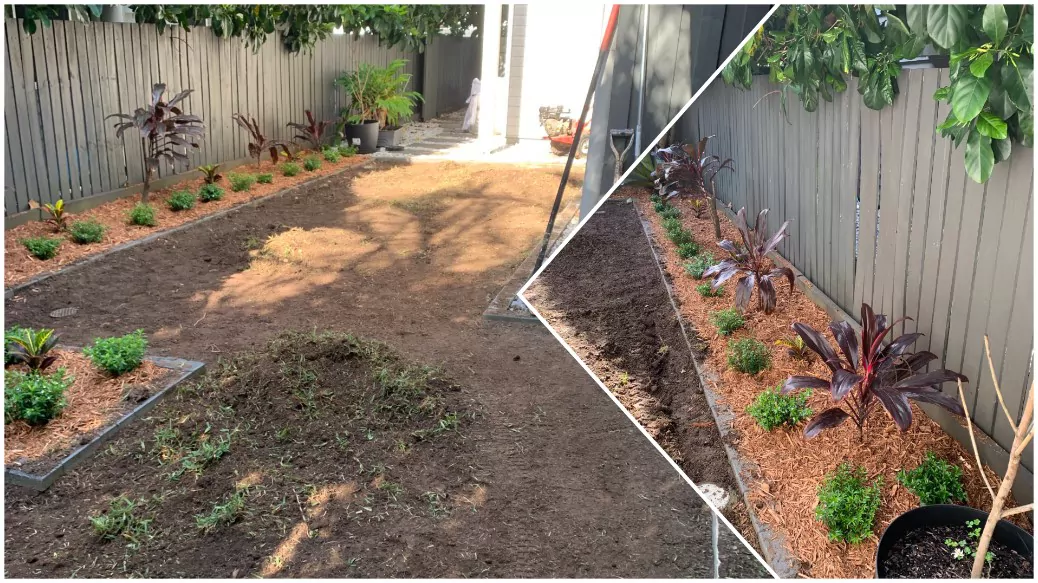 Garden beds mulched and lawn soil prepared during turf and mulch installation